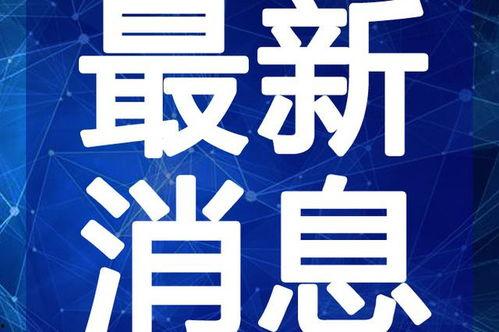 小甜水最新爆料视频,精彩瞬间一网打尽!